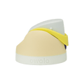 Lemon Limeade